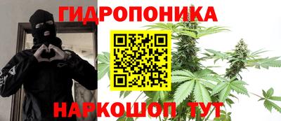 гидропоника Будённовск